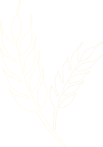 POMPES FUNÈBRES